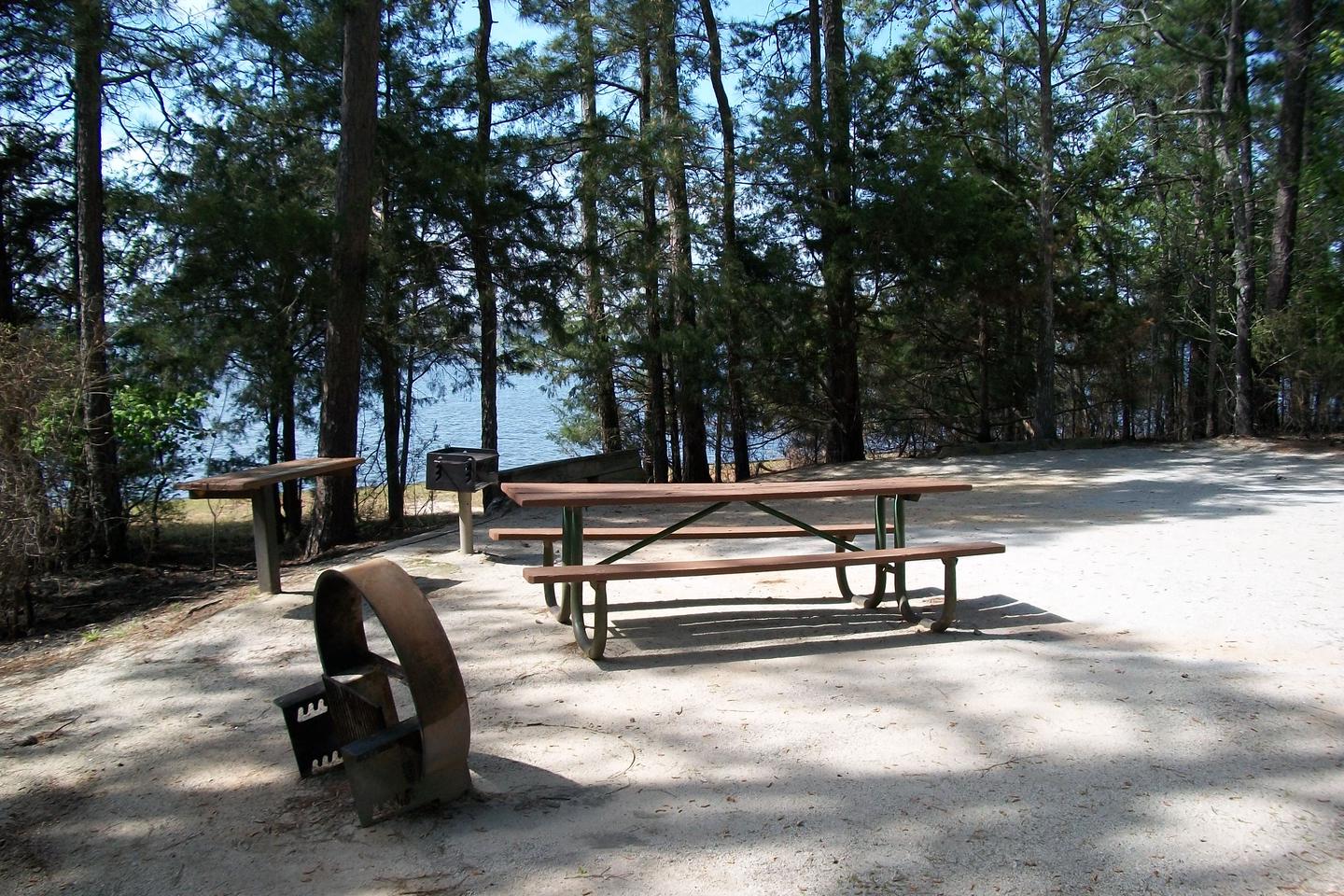 Site 26 - Picnic table and fire ring