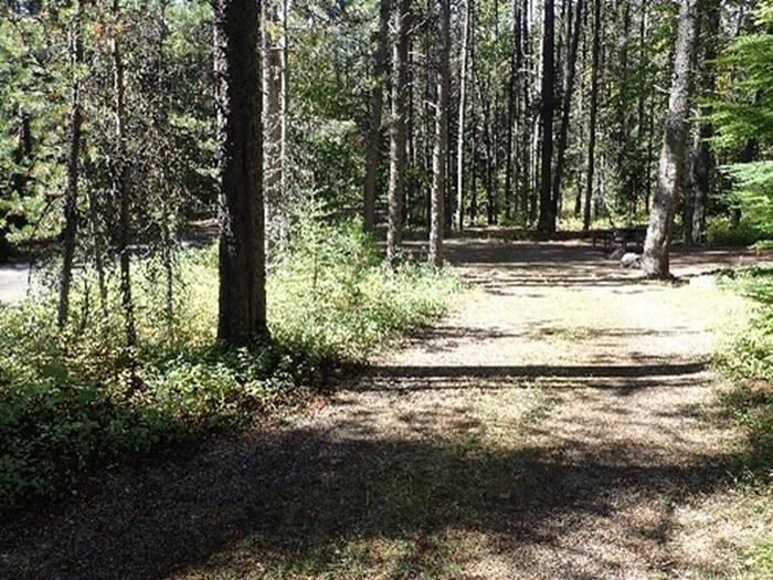 Bare, gravel driveway in wooded campground.