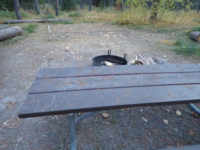 Picnic table and campfire ring in a wooded, leaf-covered campsite.