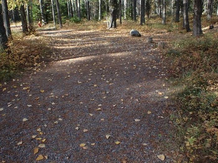 Bare, gravel driveway in wooded campground.