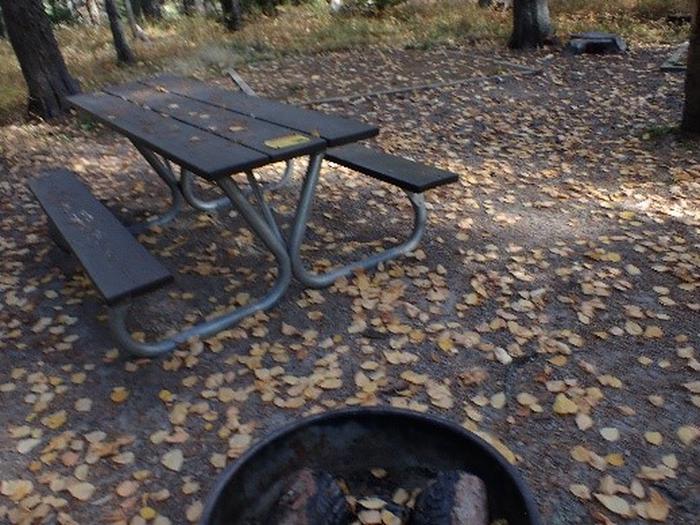 Picnic table and campfire ring in a wooded, leaf-covered campsite.