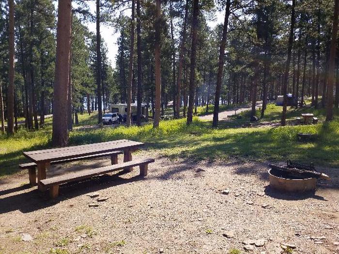 Site 23 Picnic Table and Fire RingPactola Campground