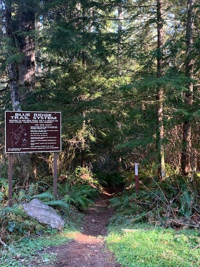 Start of the Jigiyat trail at Blue Ridge Trail System