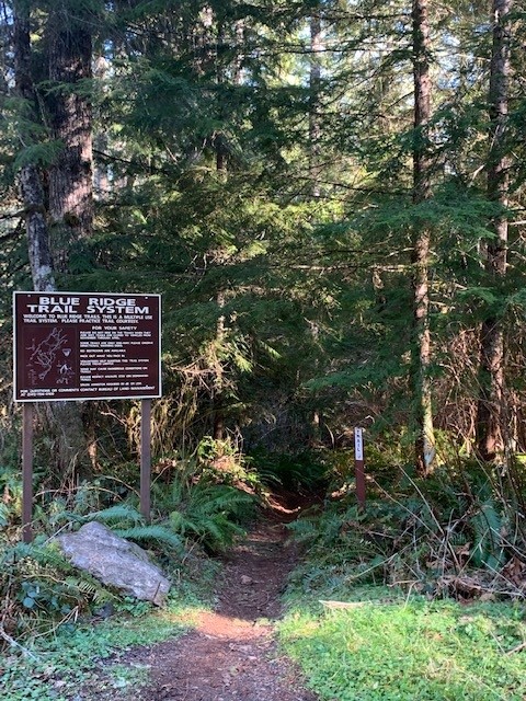 Start of the Jigiyat trail at Blue Ridge Trail System