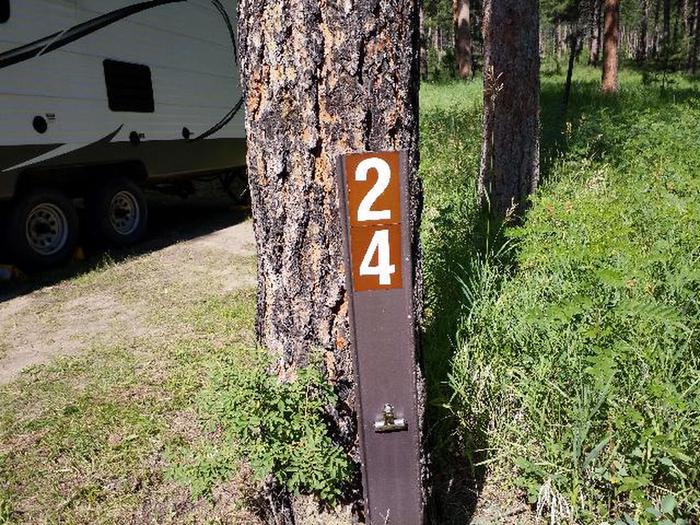 Site 24Pactola Campground