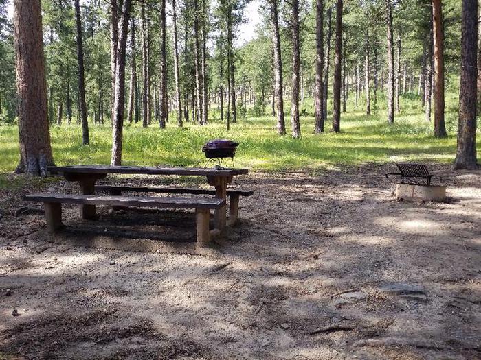 Site 24 Picnic Table and Fire RingPactola Campground