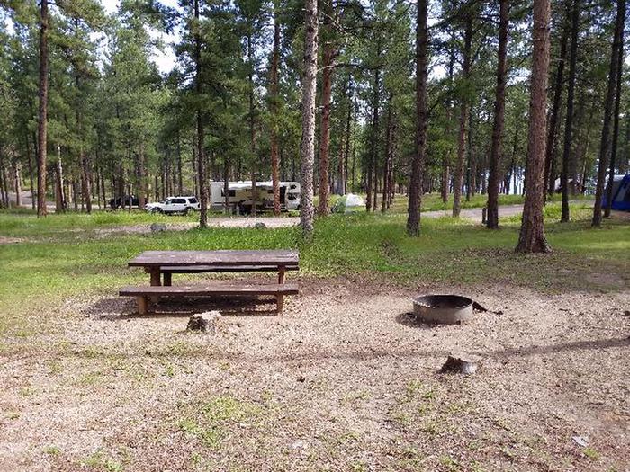 Site 25 Picnic Table and Fire RingPactola Campground