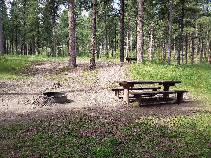 Site 25 Fire Ring and PIcnic TablePactola Campground