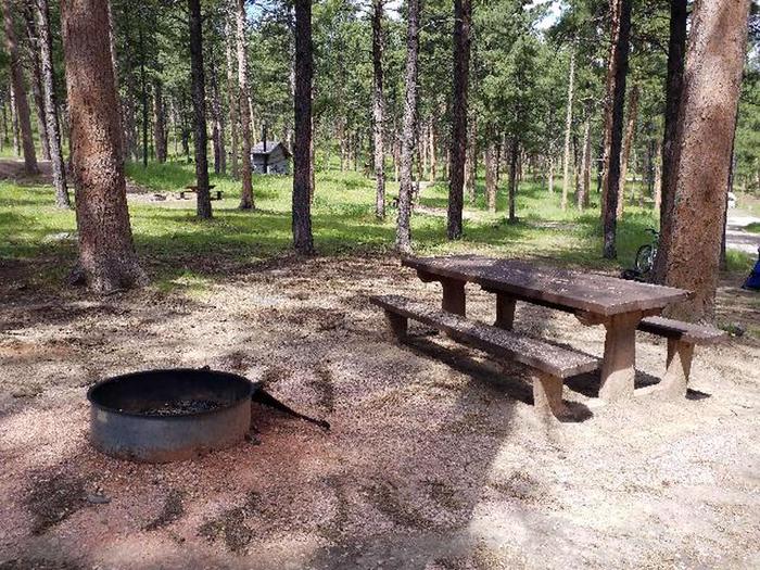 Site 41 Fire ring and Picnic tablePactola Campground