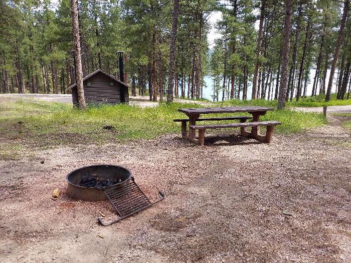 Site 42 Picnic Table and Fire RingPactola Campground