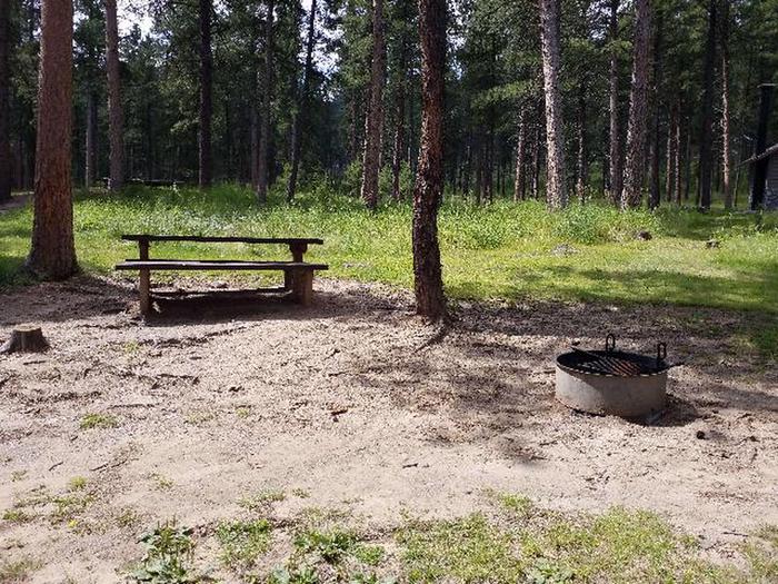 Site 43 Fire Ring and Picnic TablePactola Campground