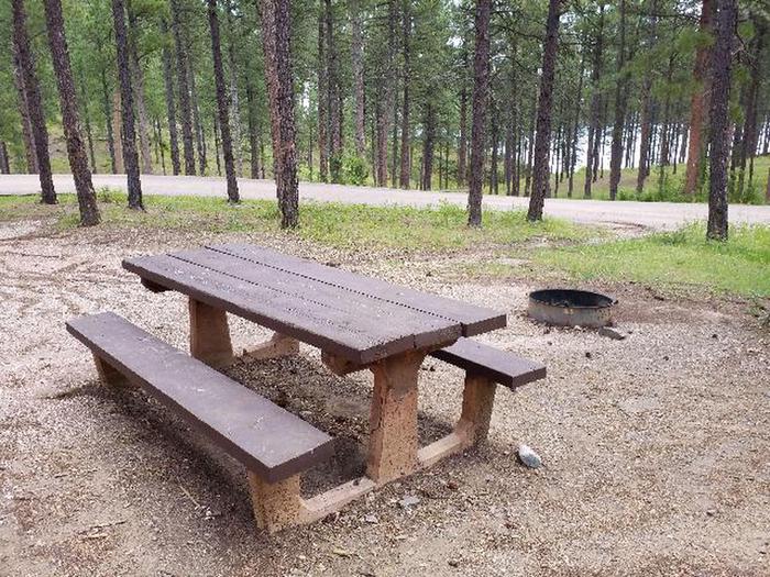 Site 46 Picnic Table and Fire RingPactola Campground