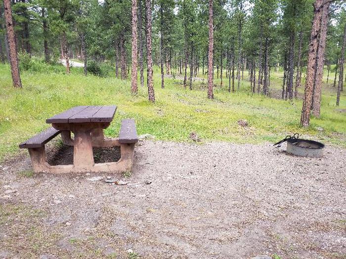 Site 47 Picnic table and Fire RingPactola Campground