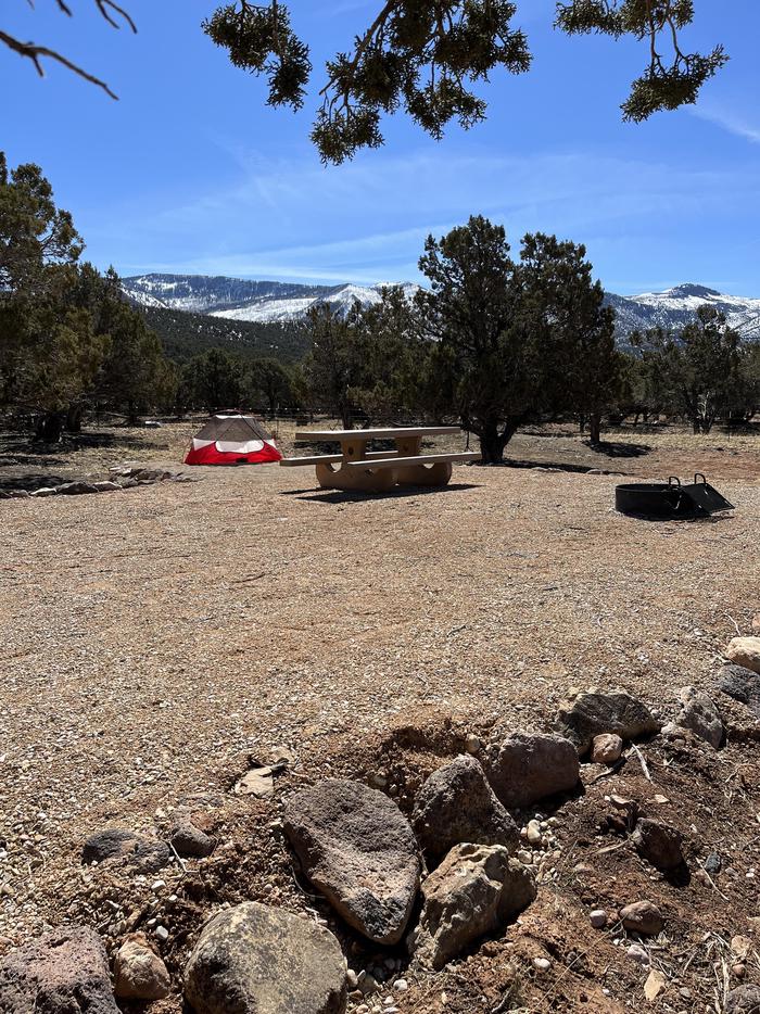 view of fire ring and tent padCampsite 1