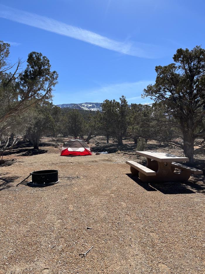view of fire ring area and tent pad in site 3Campsite 3