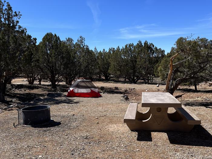 View of fire pit and tent pad in site 4Campsite 4