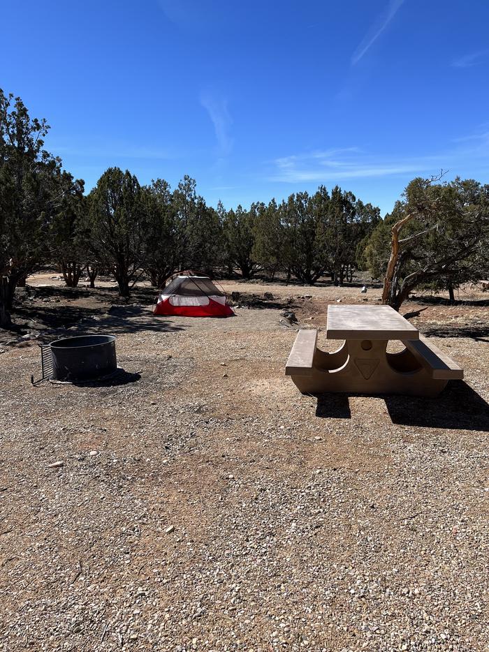 View of fire ring and tent pad in site 4Campsite 4