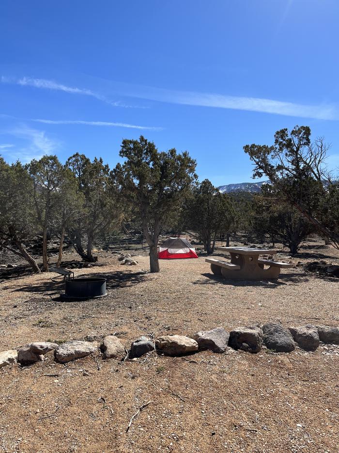 view of tent pad and fire ring in site 5Campsite 5