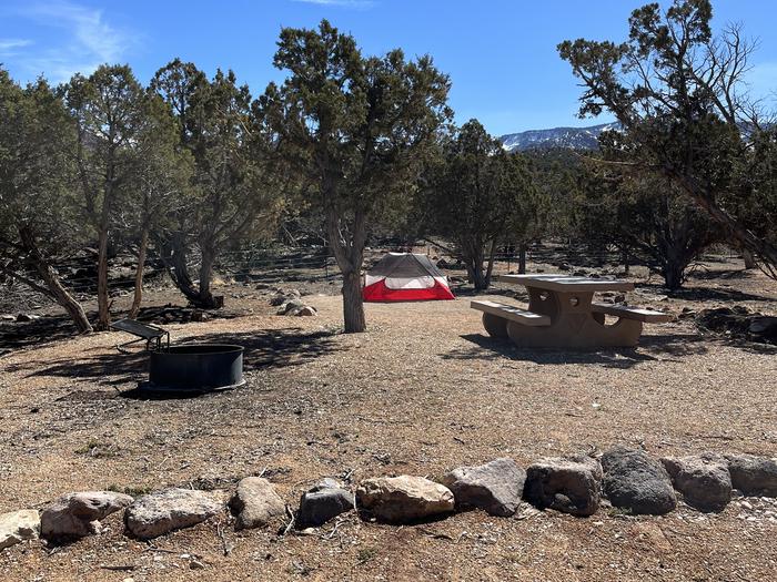 view of tent pad and fire ring in site 5Campsite 5