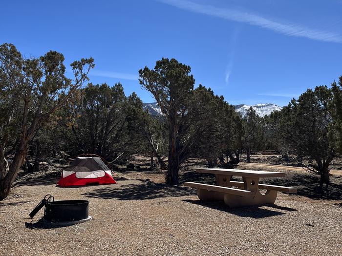 view of fire ring and tent pad in site 8Campsite 8