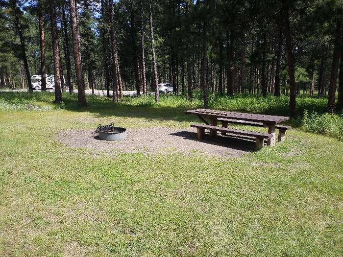 Site 58 Picnic table and Fire RingPactola Campground Loop B