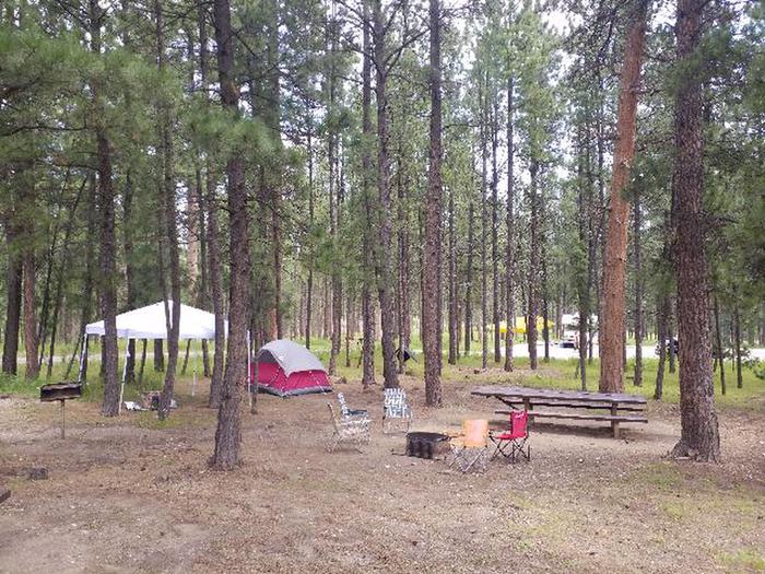 Site 63 Picnic AreaPactola Campground Loop B