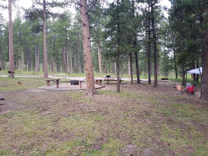 Site 64Pactola Campground Loop B
