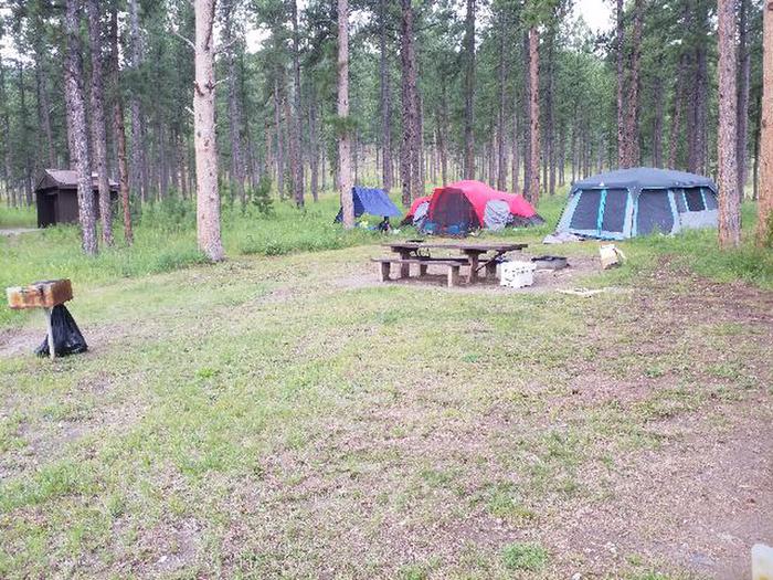 Site 73 Tent SitesPactola Campground Loop B