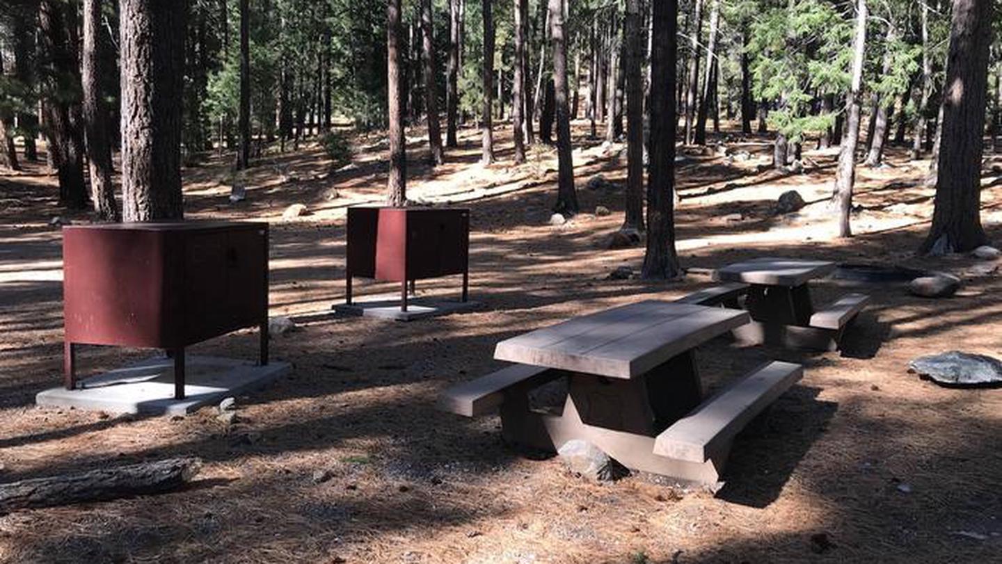 Shaded picnic area with bear boxesShady picnic area with tables and bear boxes