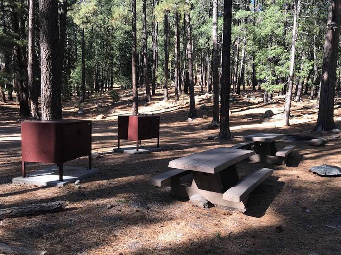 Picnic area with tables and bear boxesShady area with picnic tables and bear boxes