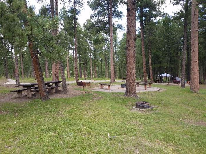 Site 66Pactola Campground Loop B