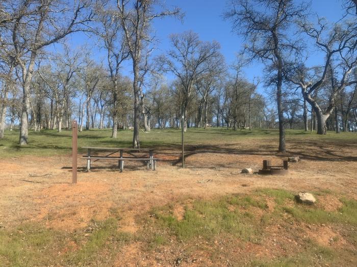 Deer Flat Campsite #8Tent Site