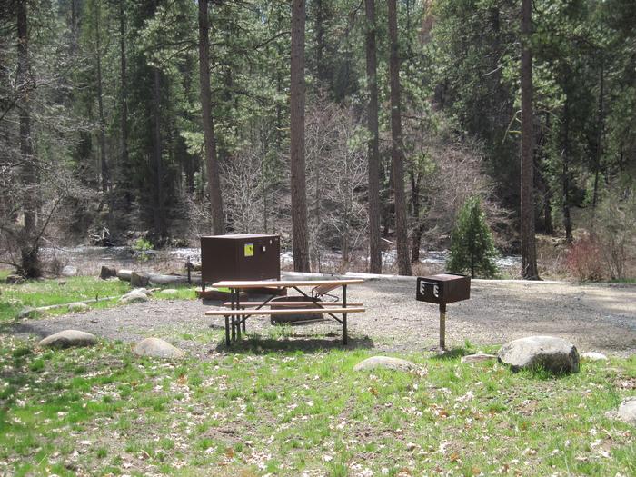 Food locker, picnic table, and fire ringSite 9 