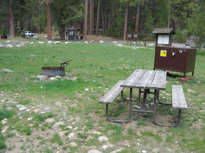 Food locker, picnic table, and fire ringSite 10