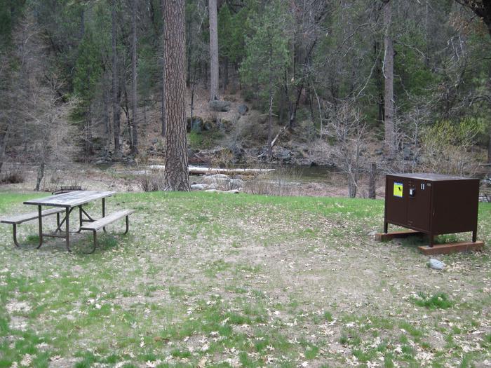 Food locker, picnic table, and fire ringSite 11