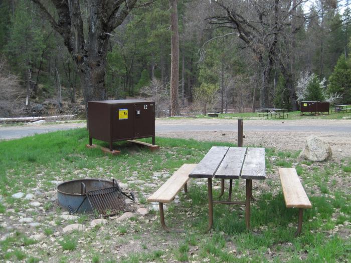 Food locker, picnic table, and fire ringSite 12