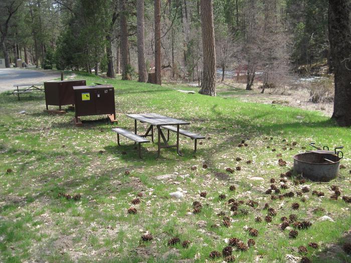 Food locker, picnic table, and fire ringSite 17