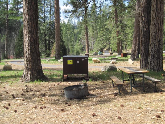 Food locker, picnic table, and fire ringSite 19