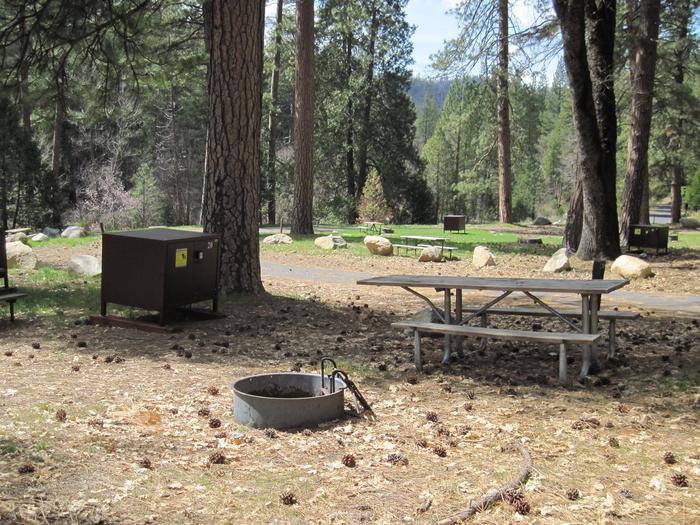 Food locker, picnic table, and fire ringSite 20