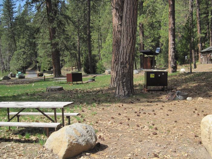 Food locker, picnic table, and fire ringSite 21