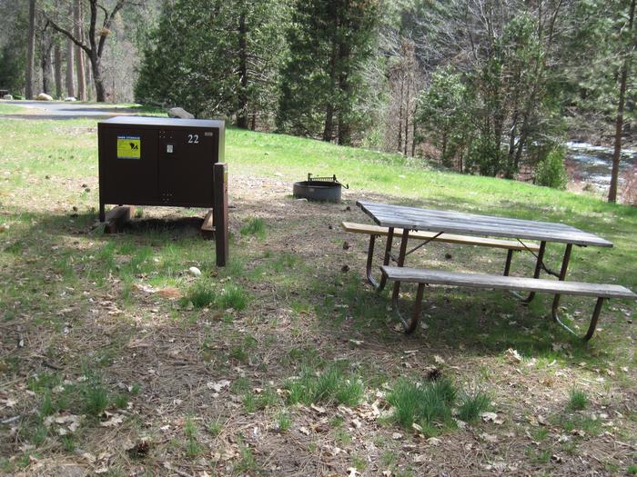 Food locker, picnic table, and fire ringSite 22