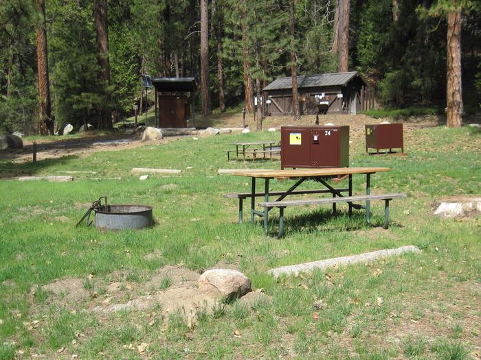 Food locker, picnic table, and fire ringSite 24