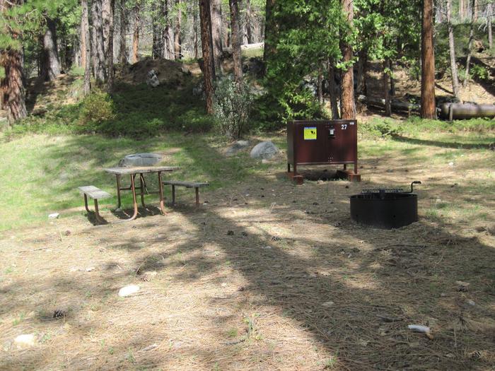 Food locker, picnic table, and fire ringSite 27
