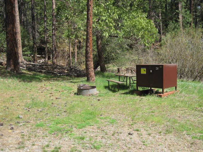 Food locker, picnic table, and fire ringSite 28
