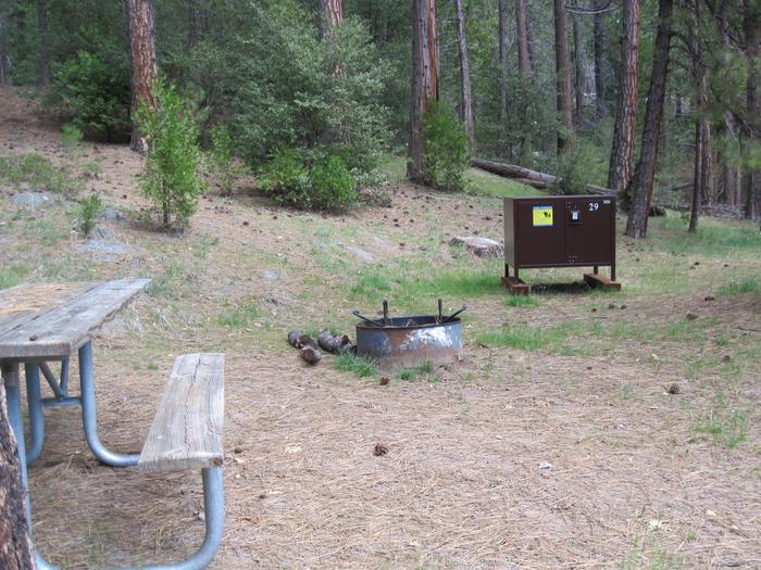 Food locker, picnic table, and fire ringSite 29