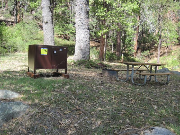 Food locker, Picnic table, and Fire Ring
