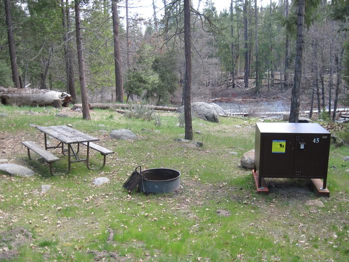 Food locker, picnic table, and fire ringSite 45