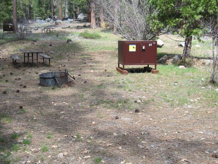 Food locker, picnic table, and fire ringSite 49