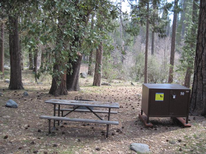 Food locker, picnic table, and fire ringSite 50