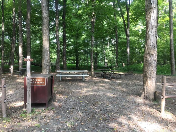 Campsite 4Located at campsite 4 at Valley View you will find multiple picnic tables, a fire ring, and a bear proof storage locker. 